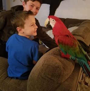 Meet your Posher, Holly